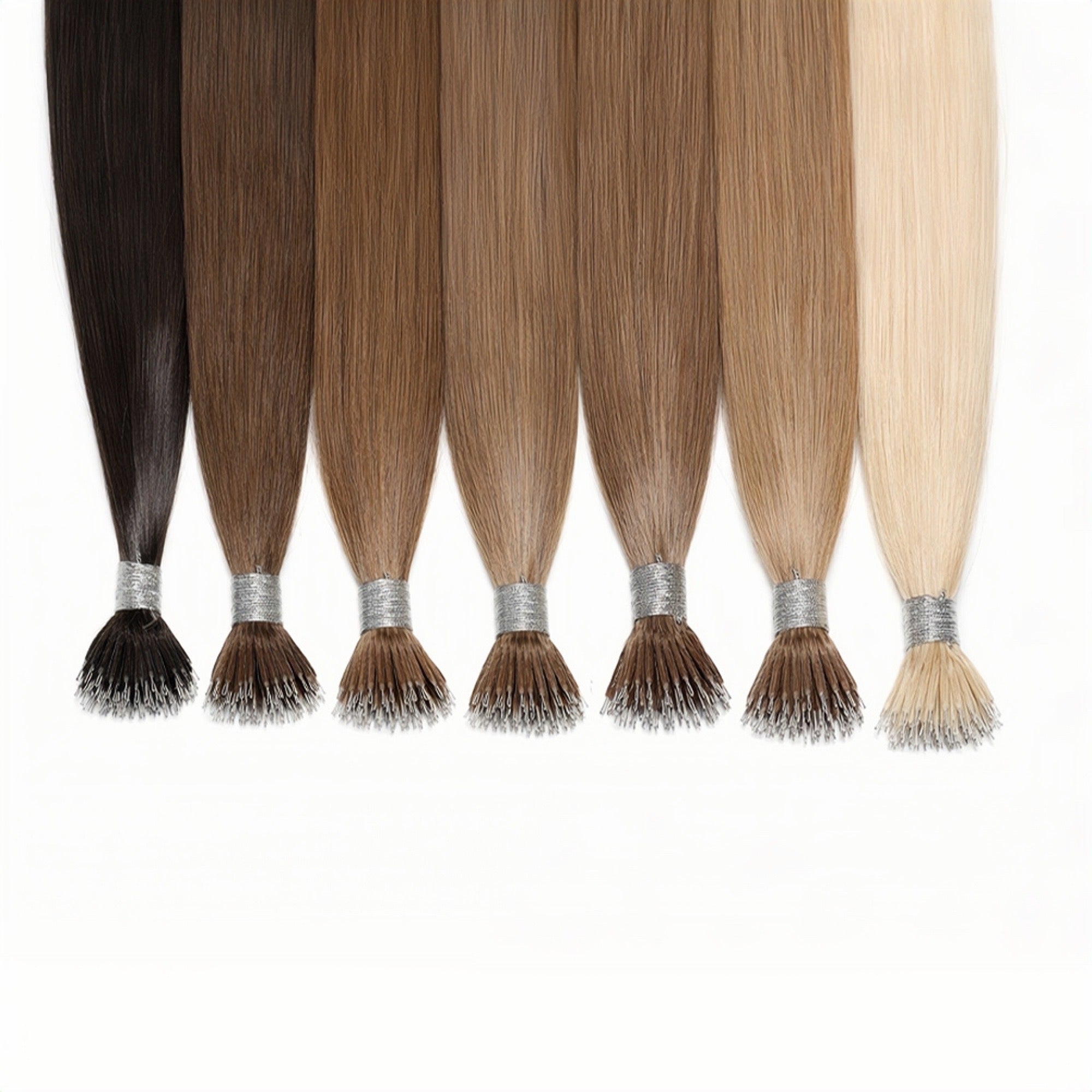 THE EXTENSION GALLERY